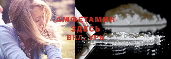 гидра Абаза