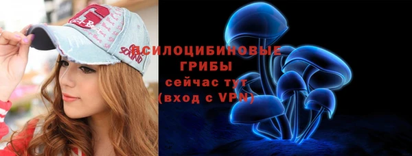 гидра Абаза