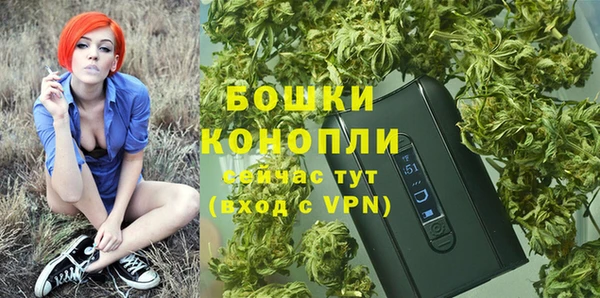 соль ск Нея
