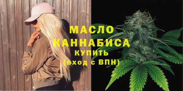 гидра Абаза