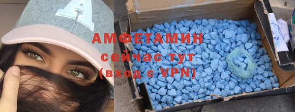 гидра Абаза