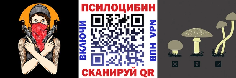Псилоцибиновые грибы MAGIC MUSHROOMS  где продают   Балаково 